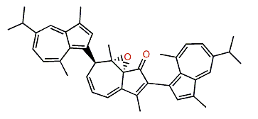 Anthogorgiene N